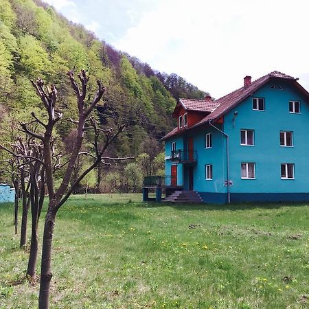 فندق Casa Verde Rîu de Mori المظهر الخارجي الصورة