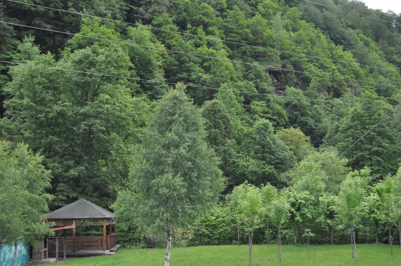 فندق Casa Verde Rîu de Mori المظهر الخارجي الصورة