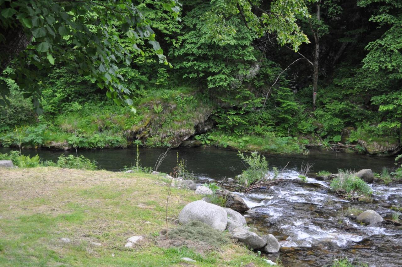 فندق Casa Verde Rîu de Mori المظهر الخارجي الصورة