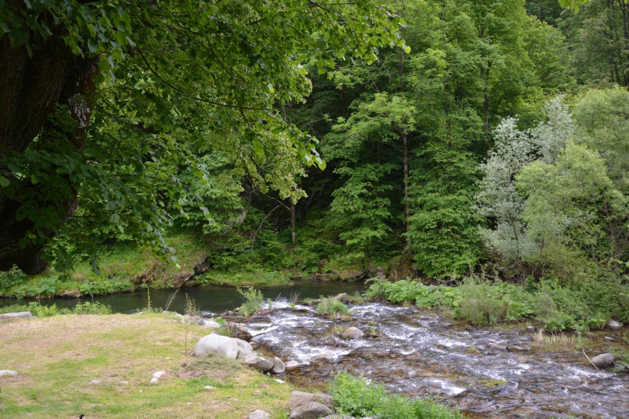 فندق Casa Verde Rîu de Mori المظهر الخارجي الصورة
