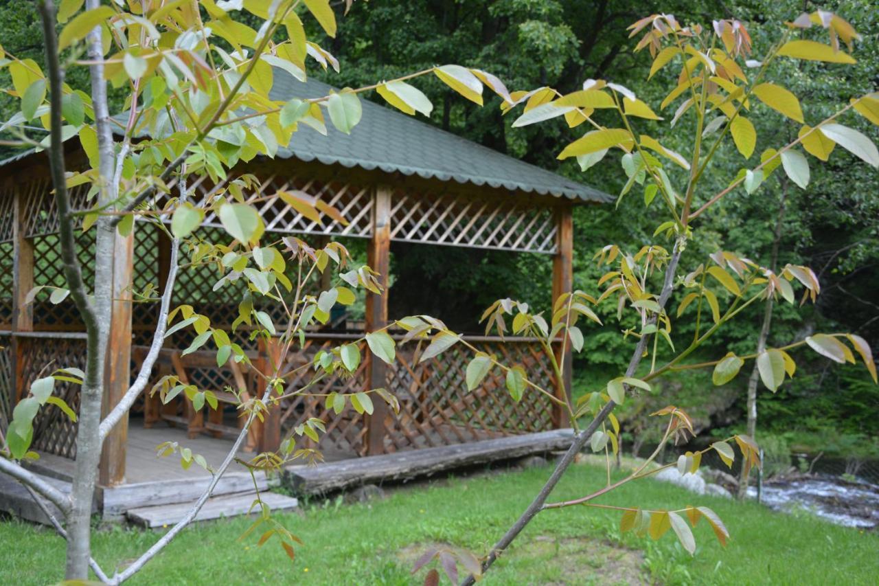 فندق Casa Verde Rîu de Mori المظهر الخارجي الصورة