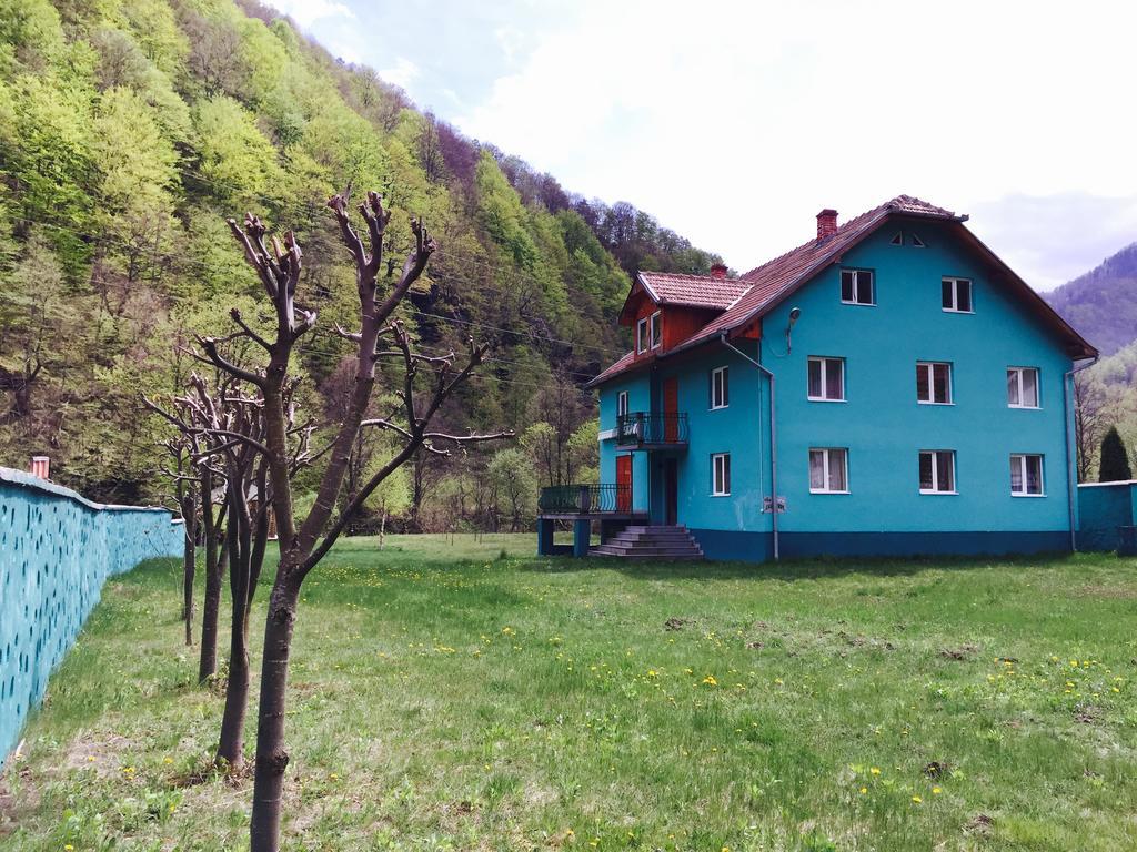 فندق Casa Verde Rîu de Mori المظهر الخارجي الصورة